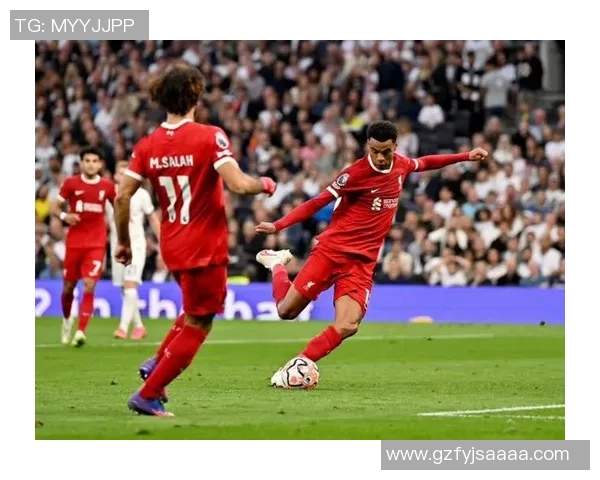 热刺小胜里昂乌龙球成比赛转折点引发全场沸腾 热刺小胜里昂乌龙球成比赛转折点引发全场沸腾