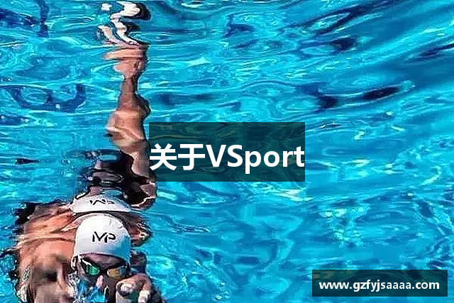 关于VSport